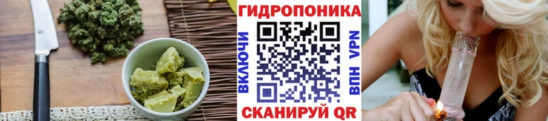 купить   Мглин  omg   Cannafood конопля 