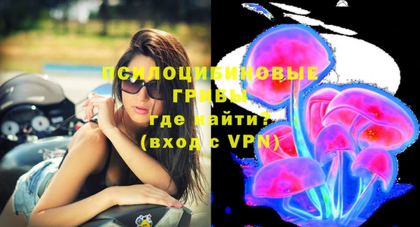стафф Белоозёрский