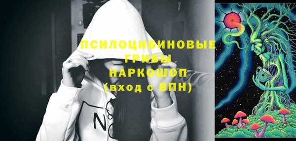 тгк Белокуриха