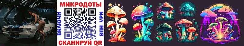 Псилоцибиновые грибы Cubensis  Мглин 